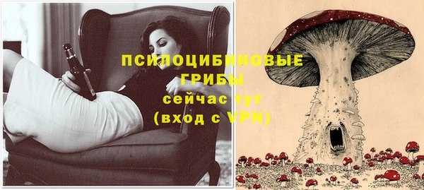 а пвп мука Богородск