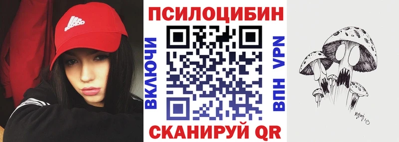 Галлюциногенные грибы Psilocybe  Буй 
